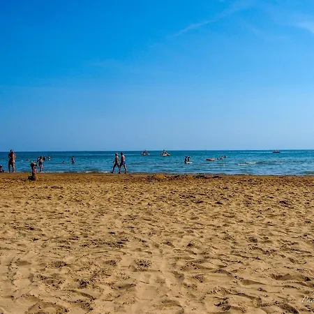Bright Garden Near The Sea *